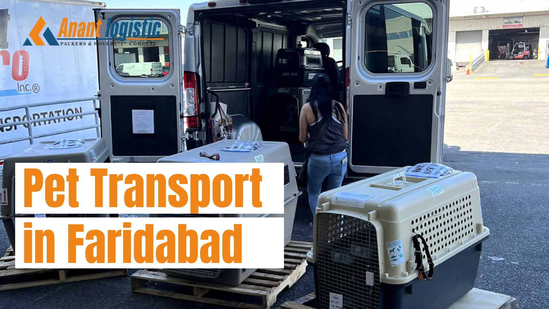 Pet Transport in Faridabad