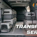 Pet Transport Service