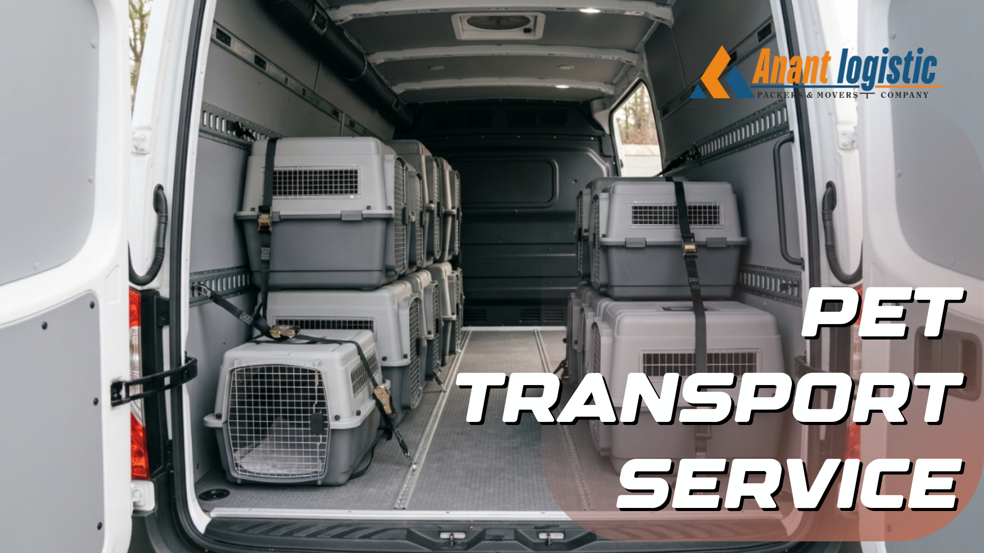 Pet Transport Service